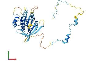 AlphaFold protein structure predicition of Mouse Recombinant Elp5 Protein, UniprotID Q99L85