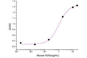 ELISA image for Fibroblast Growth Factor 2 (Basic) (FGF2) (full length) (Active) protein (ABIN7320526) (FGF2 Protein (full length))
