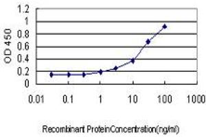 Detection limit for recombinant GST tagged LMO3 is approximately 1ng/ml as a capture antibody. (LMO3 anticorps  (AA 91-146))