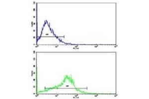 Flow cytometric analysis of HepG2 cells using APP antibody (bottom histogram) compared to a negative control (top histogram).