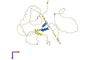 AlphaFold protein structure predicition of Human Recombinant IRX5 Protein, UniprotID P78411