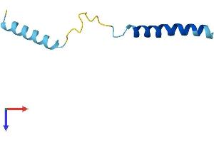 AlphaFold protein structure predicition of Mouse Recombinant Serp2 Protein, UniprotID Q6TAW2