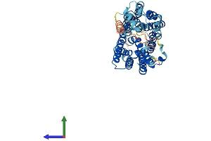 AlphaFold protein structure predicition of Human Recombinant SLC17A4 Protein, UniprotID Q9Y2C5