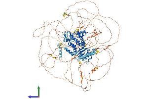 AlphaFold protein structure predicition of Mouse Recombinant Arhgap33 Protein, UniprotID Q80YF9