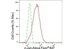 Flow cytometric analysis of c-Jun expression in HT- cells using c-Jun antibody (ABIN7799145), 1:2,000). (Recombinant C-JUN anticorps)