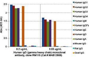 ELISA analysis of Human IgG (gamma heavy chain) monoclonal antibody, clone RM116  at the following concentrations: 0.