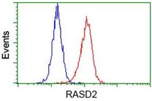 Flow cytometric Analysis of Hela cells, using anti-RASD2 antibody (ABIN2453587), (Red), compared to a nonspecific negative control antibody (TA50011), (Blue). (RASD2 anticorps)