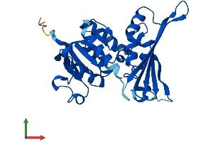 AlphaFold protein structure predicition of Mouse Recombinant Aspdh Protein, UniprotID Q9DCQ2