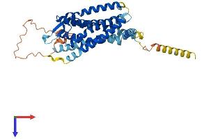 AlphaFold protein structure predicition of Human Recombinant BDKRB2 Protein, UniprotID P30411