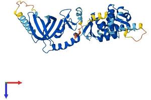 AlphaFold protein structure predicition of Human Recombinant STN1 Protein, UniprotID Q9H668