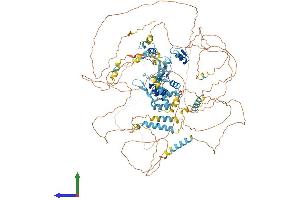 AlphaFold protein structure predicition of Mouse Recombinant Tshz3 Protein, UniprotID Q8CGV9