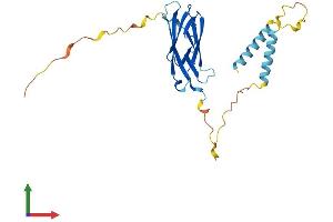 AlphaFold protein structure predicition of Human Recombinant MOSPD3 Protein, UniprotID O75425