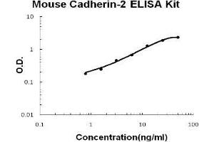 Mouse Cadherin-2/N-Cadherin PicoKine ELISA Kit standard curve (N-Cadherin Kit ELISA)