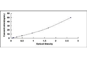 Typical standard curve (Neuroserpin Kit ELISA)