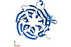 AlphaFold protein structure predicition of Mouse Recombinant Bub3 Protein, UniprotID Q9WVA3