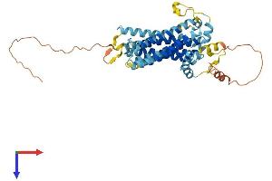 AlphaFold protein structure predicition of Mouse Recombinant Tmem184b Protein, UniprotID Q8BG09