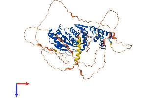 AlphaFold protein structure predicition of Mouse Recombinant Senp3 Protein, UniprotID Q9EP97