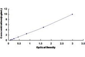 Glycine Dehydrogenase (GLDC) ELISA Kit