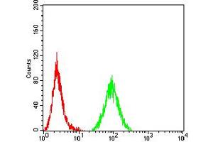 Flow cytometric analysis of Hela cells using CD44 mouse mAb (green) and negative control (red).