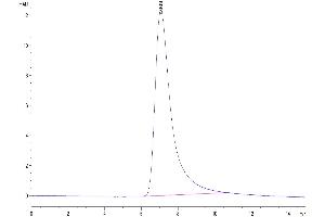 The purity of Human TREM1 is greater than 95 % as determined by SEC-HPLC.