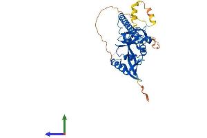 AlphaFold protein structure predicition of Mouse Recombinant Rassf4 Protein, UniprotID Q8CB96