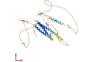 AlphaFold protein structure predicition of Human Recombinant SYNE4 Protein, UniprotID Q8N205