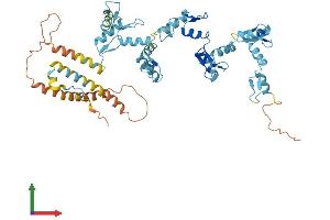 AlphaFold protein structure predicition of Human Recombinant ZNF320 Protein, UniprotID A2RRD8