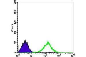 Flow cytometric analysis of Jurkat cells using CD69 monoclonal antibody, clone 8B6  (green) and negative control (purple).