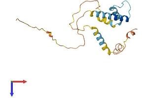 AlphaFold protein structure predicition of Mouse Recombinant Id1 Protein, UniprotID P20067