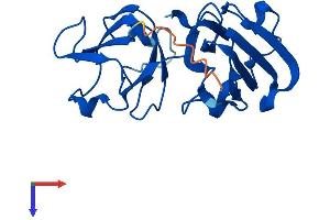AlphaFold protein structure predicition of Mouse Recombinant Cryba1 Protein, UniprotID P02525