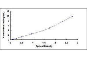 Receptor-Interacting serine-threonine Kinase 3 (RIPK3) ELISA Kit