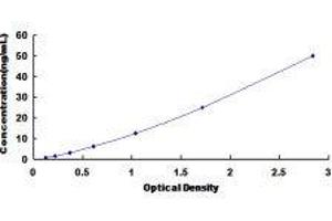 Dihydropyrimidinase (DPYS) ELISA Kit