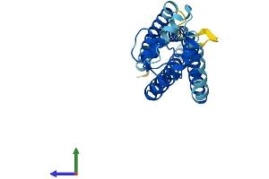 AlphaFold protein structure predicition of Human Recombinant TSPAN9 Protein, UniprotID O75954