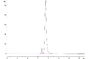 The purity of Human HLA-G Complex is greater than 95 % as determined by SEC-HPLC.