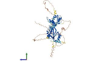 AlphaFold protein structure predicition of Mouse Recombinant Eme1 Protein, UniprotID Q8BJW7