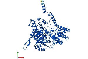 AlphaFold protein structure predicition of Mouse Recombinant Shmt1 Protein, UniprotID P50431