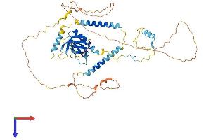 AlphaFold protein structure predicition of Human Recombinant PLEKHO2 Protein, UniprotID Q8TD55