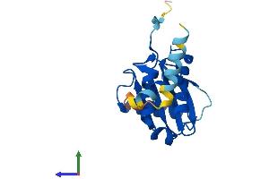 AlphaFold protein structure predicition of Mouse Recombinant Copz1 Protein, UniprotID P61924