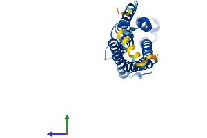 AlphaFold protein structure predicition of Mouse Recombinant Cyb561 Protein, UniprotID Q60720
