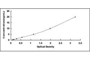 Typical standard curve (Phospholipase C gamma 2 Kit ELISA)