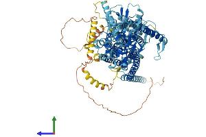 AlphaFold protein structure predicition of Mouse Recombinant Ano4 Protein, UniprotID Q8C5H1