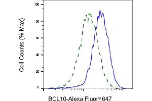 Validation of BCL10 knockdown using flow cytometry.