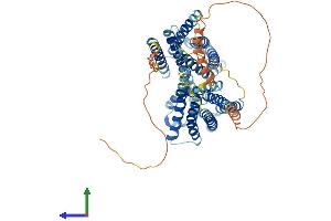 AlphaFold protein structure predicition of Mouse Recombinant Otop1 Protein, UniprotID Q80VM9