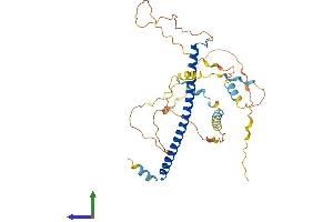 AlphaFold protein structure predicition of Mouse Recombinant Cebpa Protein, UniprotID P53566