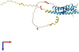 AlphaFold protein structure predicition of Mouse Recombinant Ms4a15 Protein, UniprotID Q3UPL6