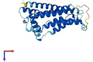 AlphaFold protein structure predicition of Mouse Recombinant Nrm Protein, UniprotID Q8VC65