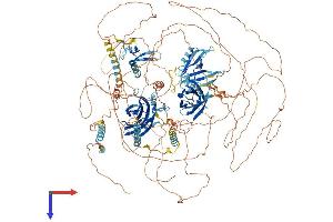 AlphaFold protein structure predicition of Human Recombinant RIMS2 Protein, UniprotID Q9UQ26