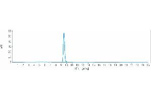 anti-LAG3 (Relatlimab Biosimilar) antibody