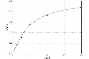 Vitamin D Receptor (VDR) ELISA Kit