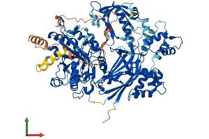 AlphaFold protein structure predicition of Mouse Recombinant Plcd4 Protein, UniprotID Q8K3R3